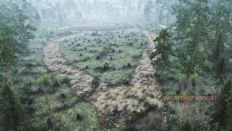 Siberiano Bosque 3 para Spintires MudRunner