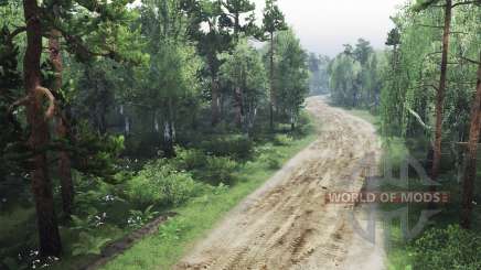 Espeluznante bosque para Spin Tires