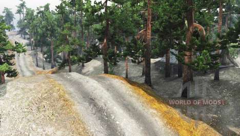 Pine trails para Spin Tires