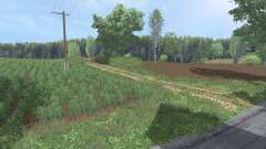 Biedrzychowice micro para Farming Simulator 2015